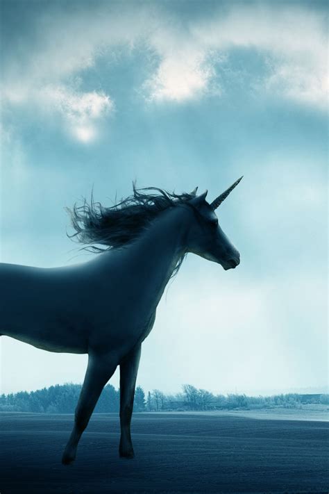 How to Manifest Your Dreams with Unicorn Magic